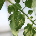 080001_20180315142846_01.JPG