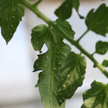 080001_20180315142846_03.JPG