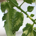 080001_20180315142856_02.JPG