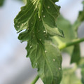 080001_20180315143041_01.JPG
