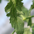 080001_20180315143041_02.JPG
