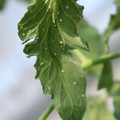080001_20180315143041_03.JPG