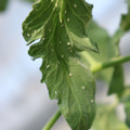 080001_20180315143041_04.JPG