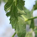 080001_20180315143042_05.JPG