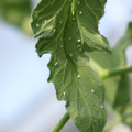 080001_20180315143044_02.JPG