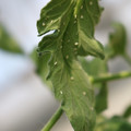 080001_20180315143046_02.JPG