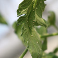 080001_20180315143046_03.JPG