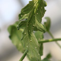 080001_20180315143047_04.JPG