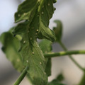 080001_20180315143051_01.JPG