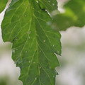 080001_20180315143114_03.JPG