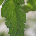 080001_20180315143114_04.JPG