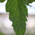 080001_20180315143117_04.JPG