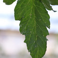 080001_20180315143118_02.JPG