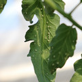080001_20180315152844_04.JPG