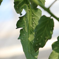080001_20180315152844_05.JPG