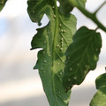 080001_20180315152845_04.JPG