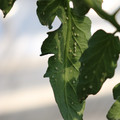 080001_20180315152846_01.JPG