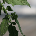 080001_20180315152917_05.JPG