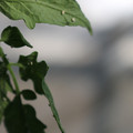 080001_20180315152919_02.JPG