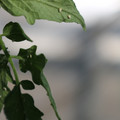080001_20180315152919_04.JPG