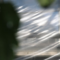 080001_20180315153622_04.JPG