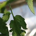 080001_20180315153703_01.JPG
