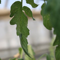 080001_20180328101856_01.JPG