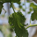 080001_20180328102351_01.JPG
