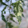 080001_20180328102538_02.JPG