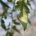 080001_20180328102551_02.JPG