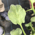 439904_20180205105617_05.JPG