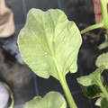 439904_20180205105617_09.JPG