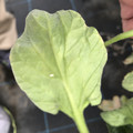 439904_20180205105618_05.JPG