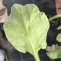 439904_20180205105618_06.JPG