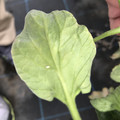 439904_20180205105618_08.JPG