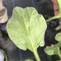 439904_20180205105618_09.JPG