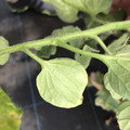 439904_20180205105629_11.JPG