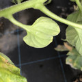 439904_20180205105646_05.JPG