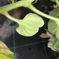 439904_20180205105646_08.JPG