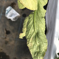 439904_20180205105951_01.JPG