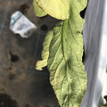 439904_20180205105951_04.JPG