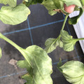 439904_20180205110019_04.JPG