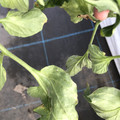 439904_20180205110019_05.JPG