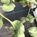 439904_20180205110019_06.JPG