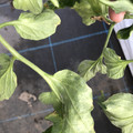 439904_20180205110019_08.JPG
