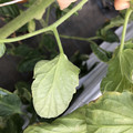 439904_20180205110417_09.JPG