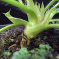 289903_20171218213758_01.JPG