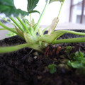 289903_20171219111505_01.JPG