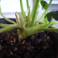 289903_20171225113406_01.JPG