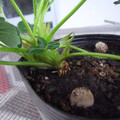 289903_20171231122150_01.JPG